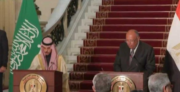 وزیران خارجه مصر و عربستان بر راهکار تشکیل دو دولت در فلسطین تأکید کردند