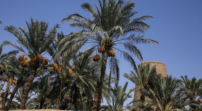 راهنمای سفر به بافق شهری در قلب کویر ایران