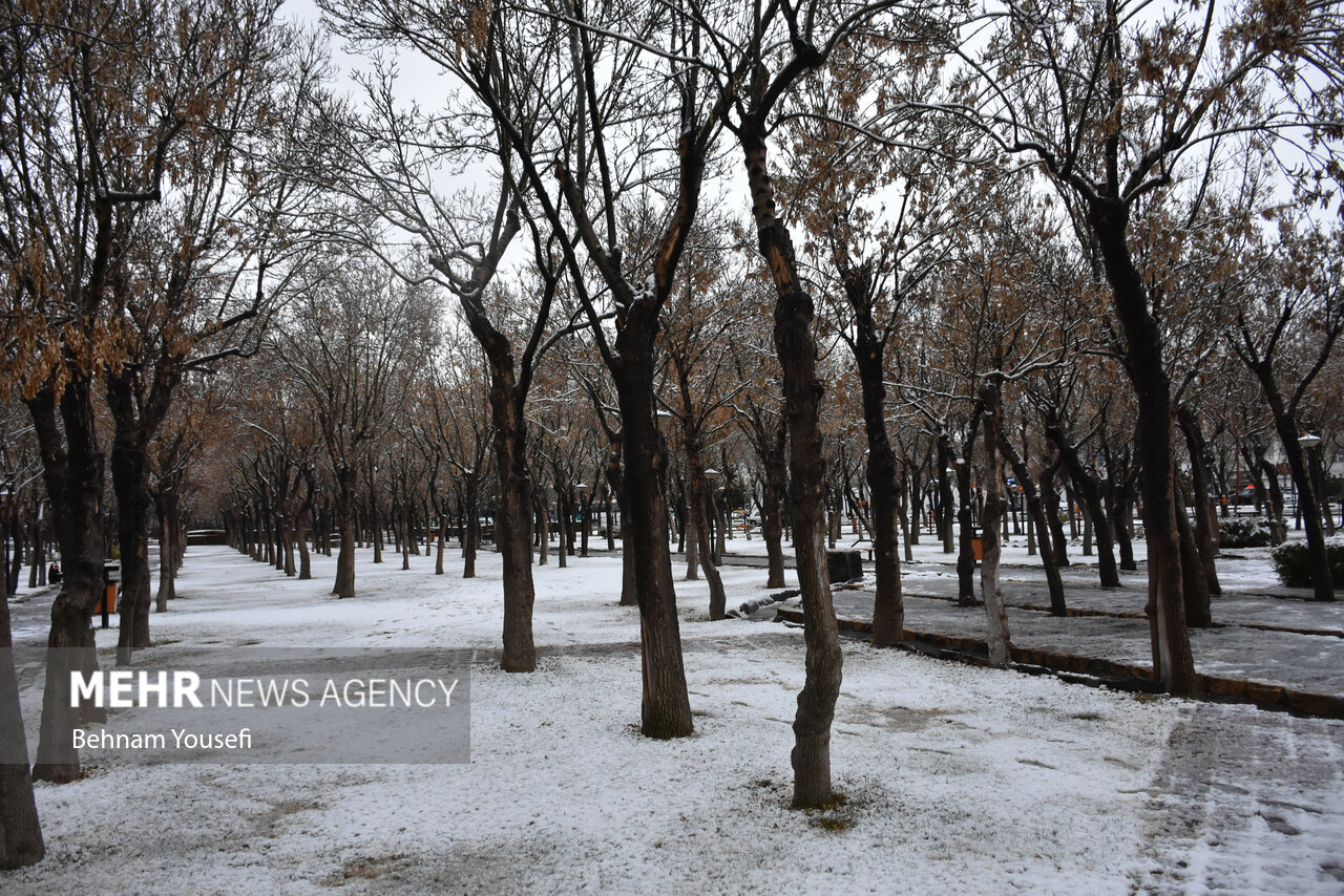 تداوم بارش و هوای سرد در استان سمنان - خبرگزاری مهر | اخبار ایران و جهان