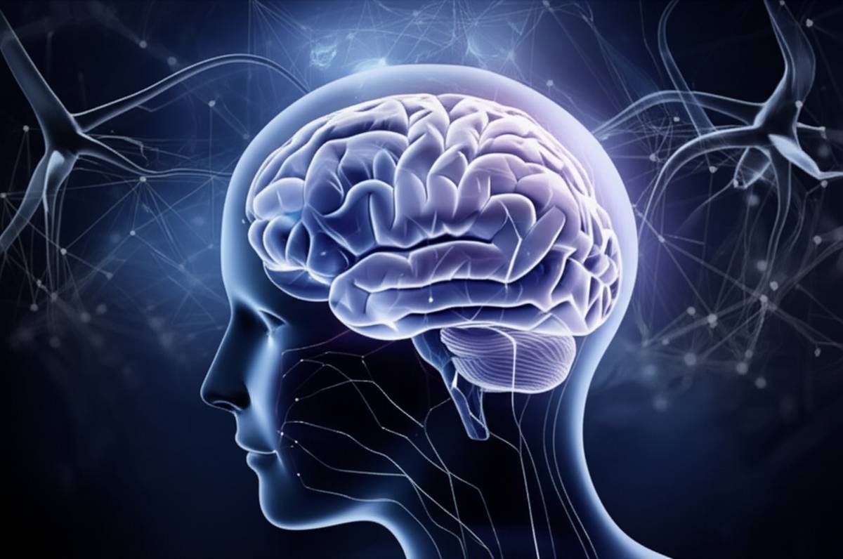 خلاصه کتاب ارزیابی هوش بزرگسالان | راهنمای جامع ریون