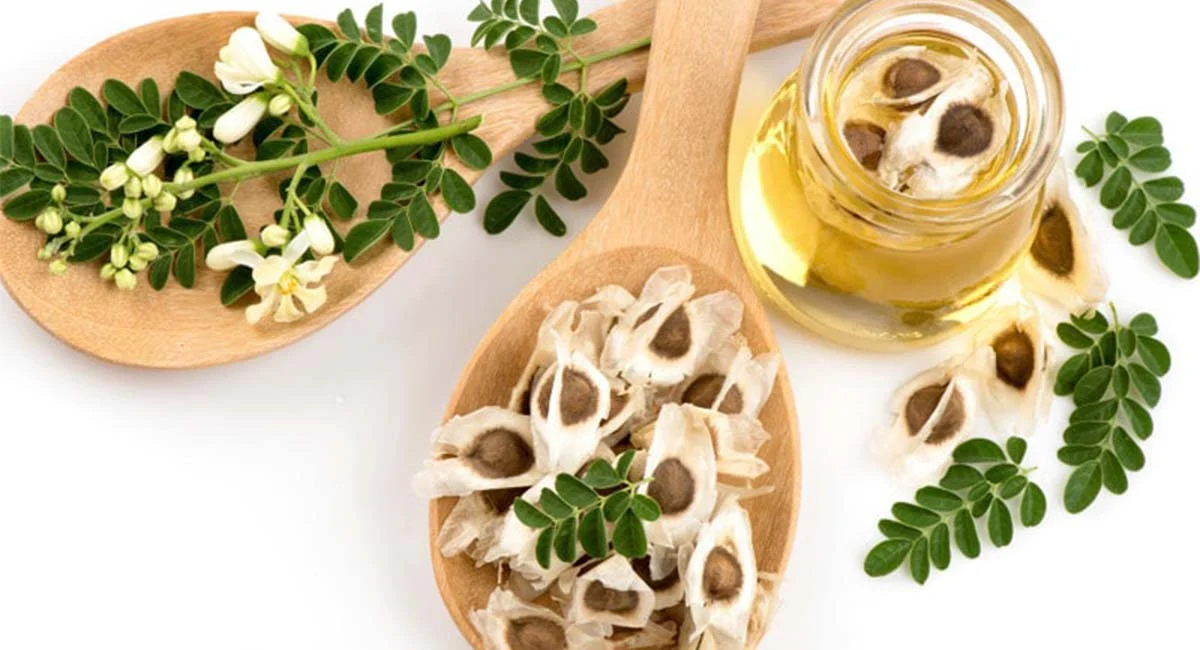 درد مفاصل | درمان مکانیسم اثر روغن مورینگا در تسکین درد و التهاب مفاصل